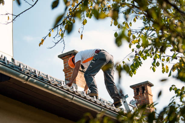 Roof Gutter Cleaning in Winneconne, WI