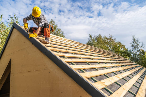 Best Storm Damage Roof Repair  in Nneconne, WI