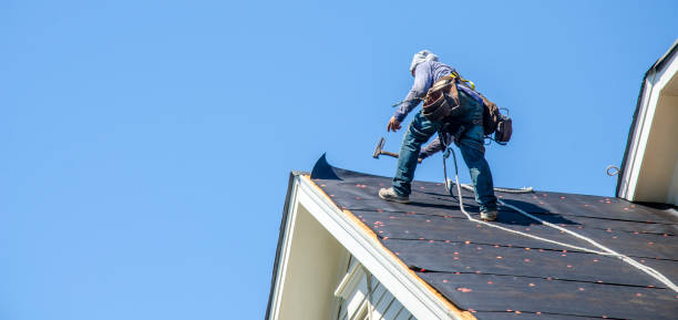 Best Emergency Roof Repair  in Nneconne, WI